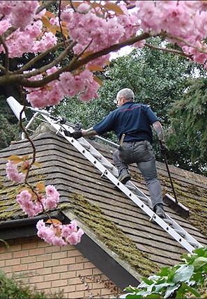 Our staff cleaning the moss from a roof in St Leonards near Hastings